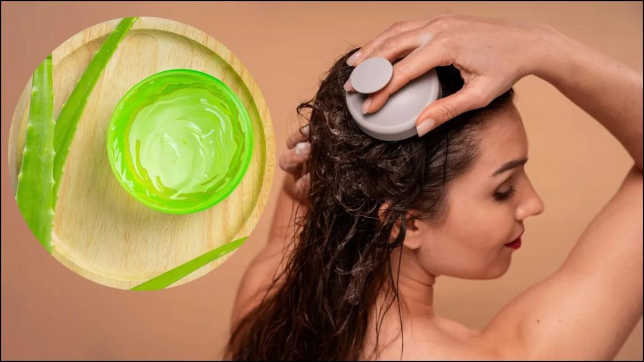 Hair Care Tips: एलोवेरा जेल से बनाएं हेयर कंडीशनर, बालों की सू dryness और झड़ने में कमी आएगी