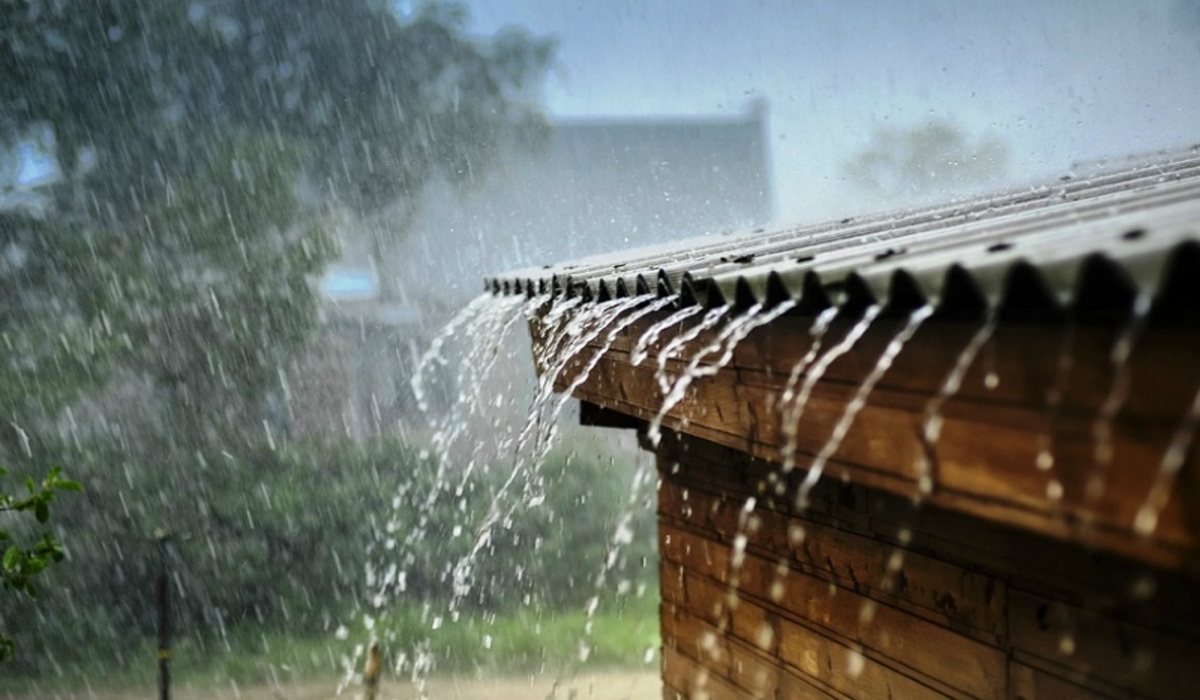 Monsoon: मानसून मौसम में क्या दीवारों में नमी बढ़ती है? इस बार इन टिप्स को आजमाएं