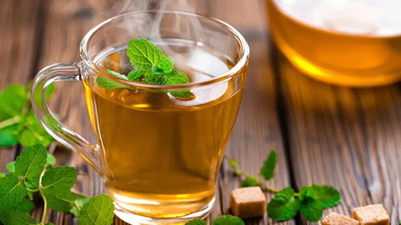 Best Time For Green Tea: ग्रीन टी पीने का सही समय, सुबह खाली पेट या रात में? जानिए सही समय