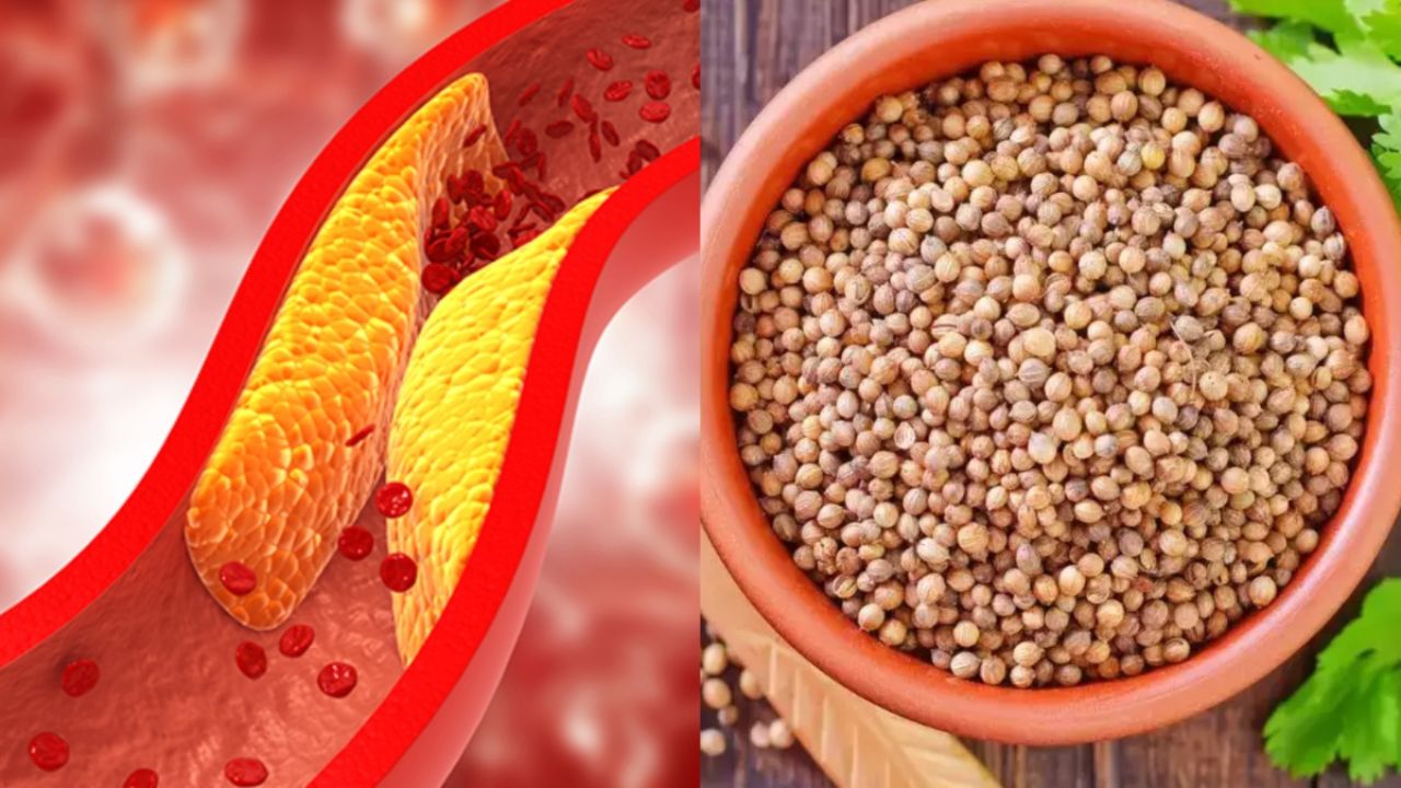 Health Tips: ये 2 प्रकार के सूखे बीज गंदे कोलेस्ट्रॉल को सोखते हैं, जानिए कैसे करें उपयोग