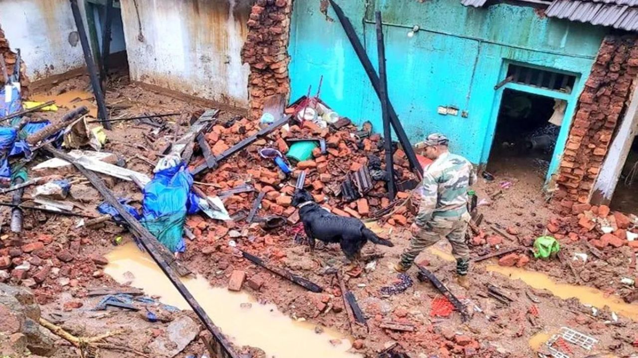 Devastation in Wayanad: सेना, रडार और अब डॉग स्क्वॉड... मलबे से जिंदगियां बचाने का युद्धस्तर पर काम जारी