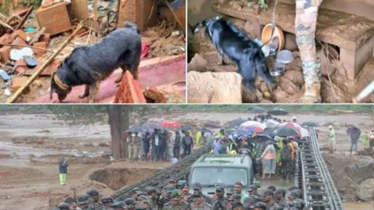 Devastation in Wayanad: सेना, रडार और अब डॉग स्क्वॉड... मलबे से जिंदगियां बचाने का युद्धस्तर पर काम जारी