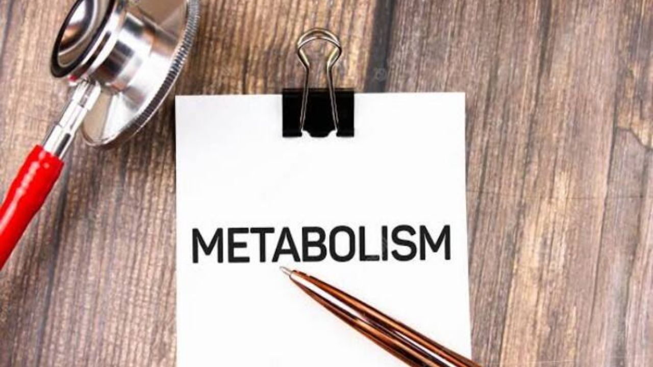 High Metabolism के लिए अपनाएं ये 5 आदतें, रहें स्वस्थ और ऊर्जा से भरपू