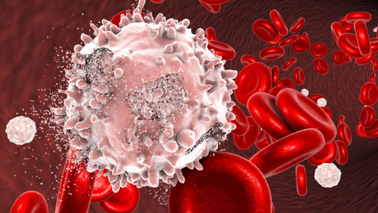 Blood Cancer: रात में बुखार के साथ अधिक पसीना आना हो सकता है ब्लड कैंसर के शुरुआती लक्षण