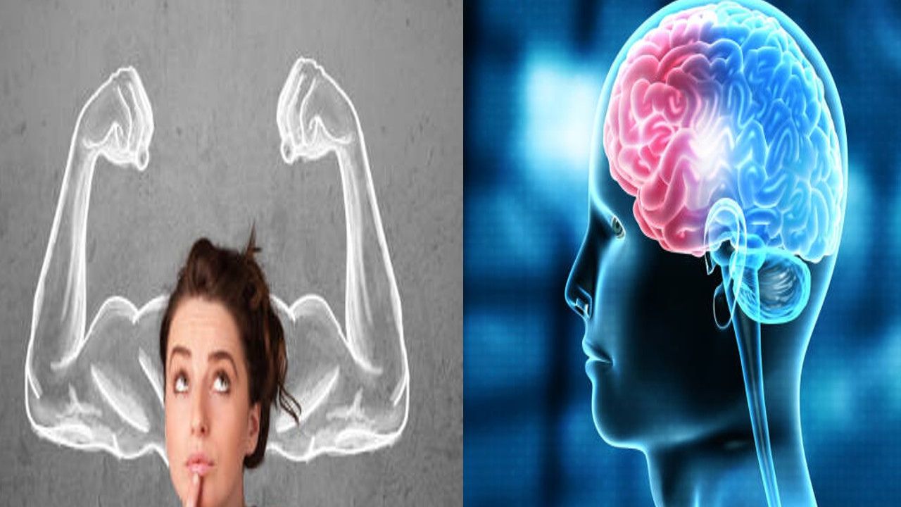 Healthy Brain Tips: अगर आपके दिमाग की ताकत कम हो रही है, तो इन टिप्स को अपनाएं, दिमाग स्वस्थ रहेगा और याददाश्त भी तेज होगी