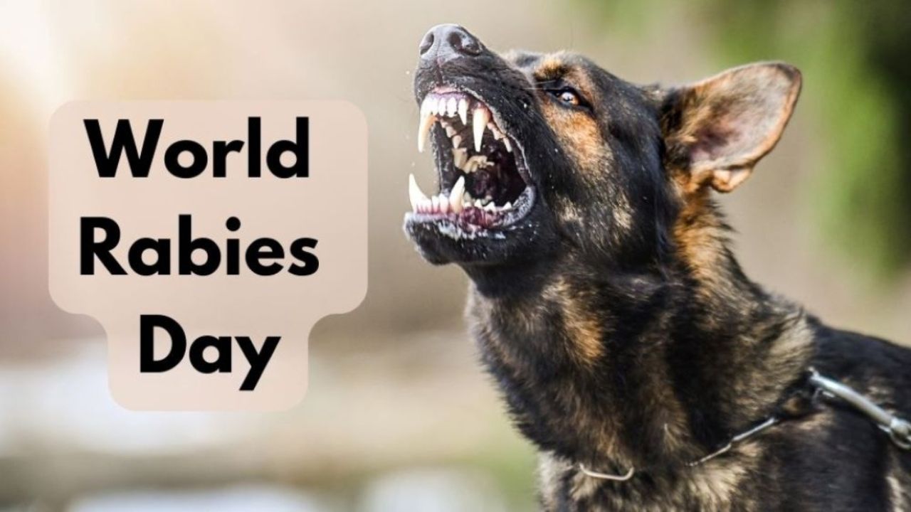 World Rabies Day 2024: कुत्ते के अलावा इन जानवरों के काटने से भी फैलता है रेबीज, जानें लक्षण और बचाव के उपाय