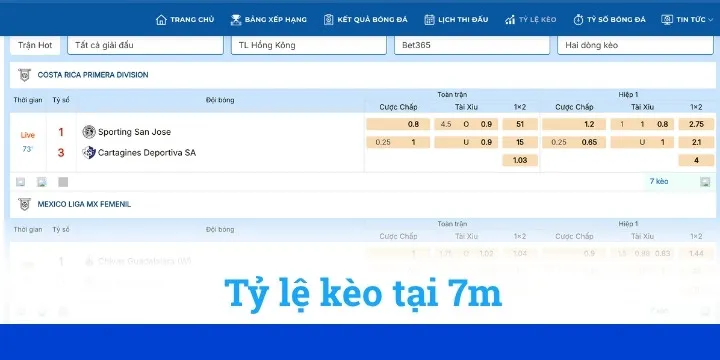 7m - Tham gia cá cược với hàng loạt kèo bóng đá hấp dẫn 3 Tỷ lệ kèo bóng đá 7m được cung cấp đầy đủ